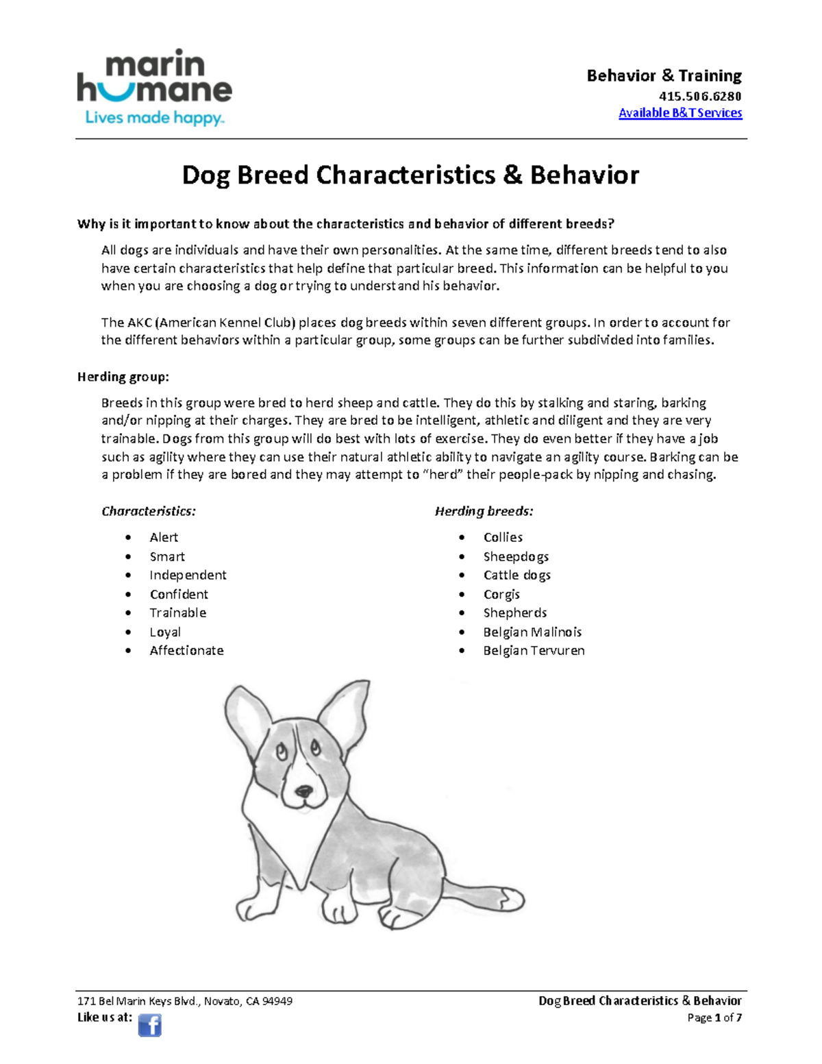 Dog Breed Characteristics & Behavior Overview - 415.506 - Studocu