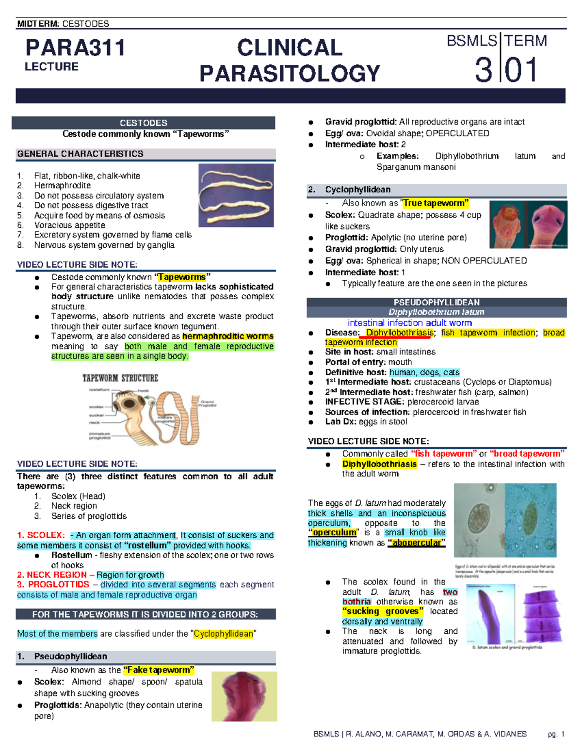 MIDTERM: CESTODES PARA311 LECTURE NOTES ON TAPEWORMS AND INFECTIONS ...