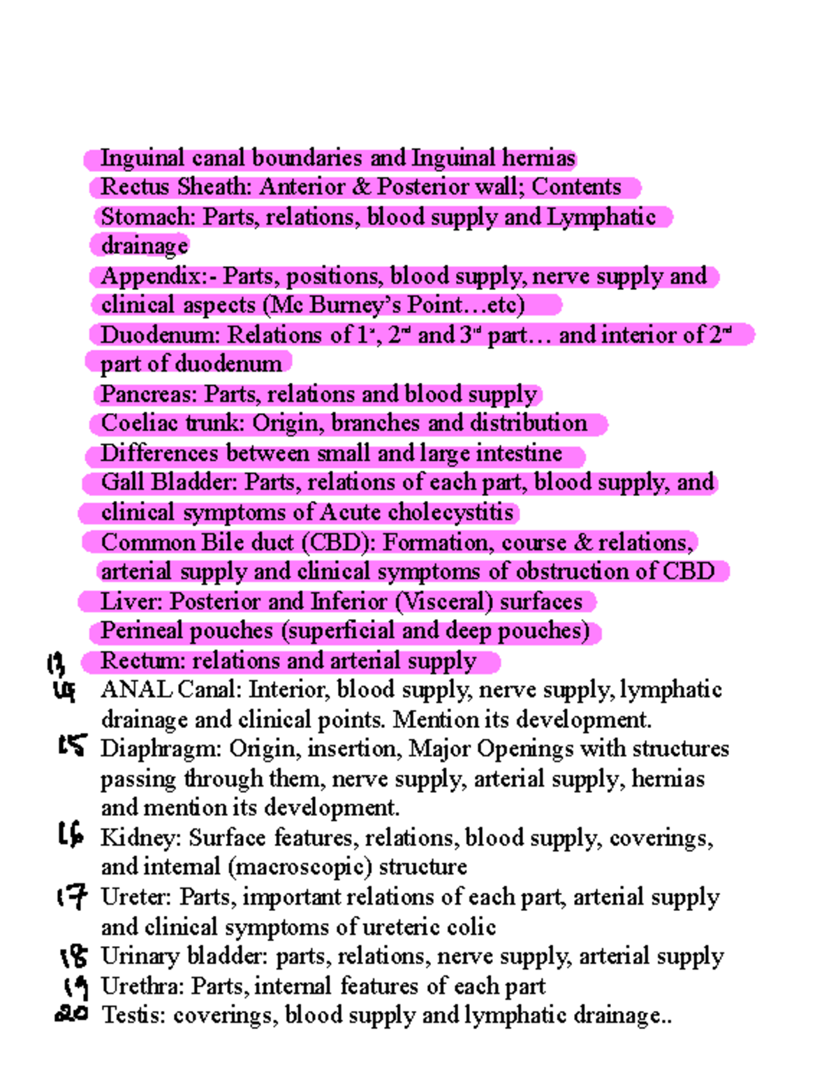 Anatomy Dissection Notes: Inguinal Canal, Abdomen & Pelvis (ANAT 101 ...