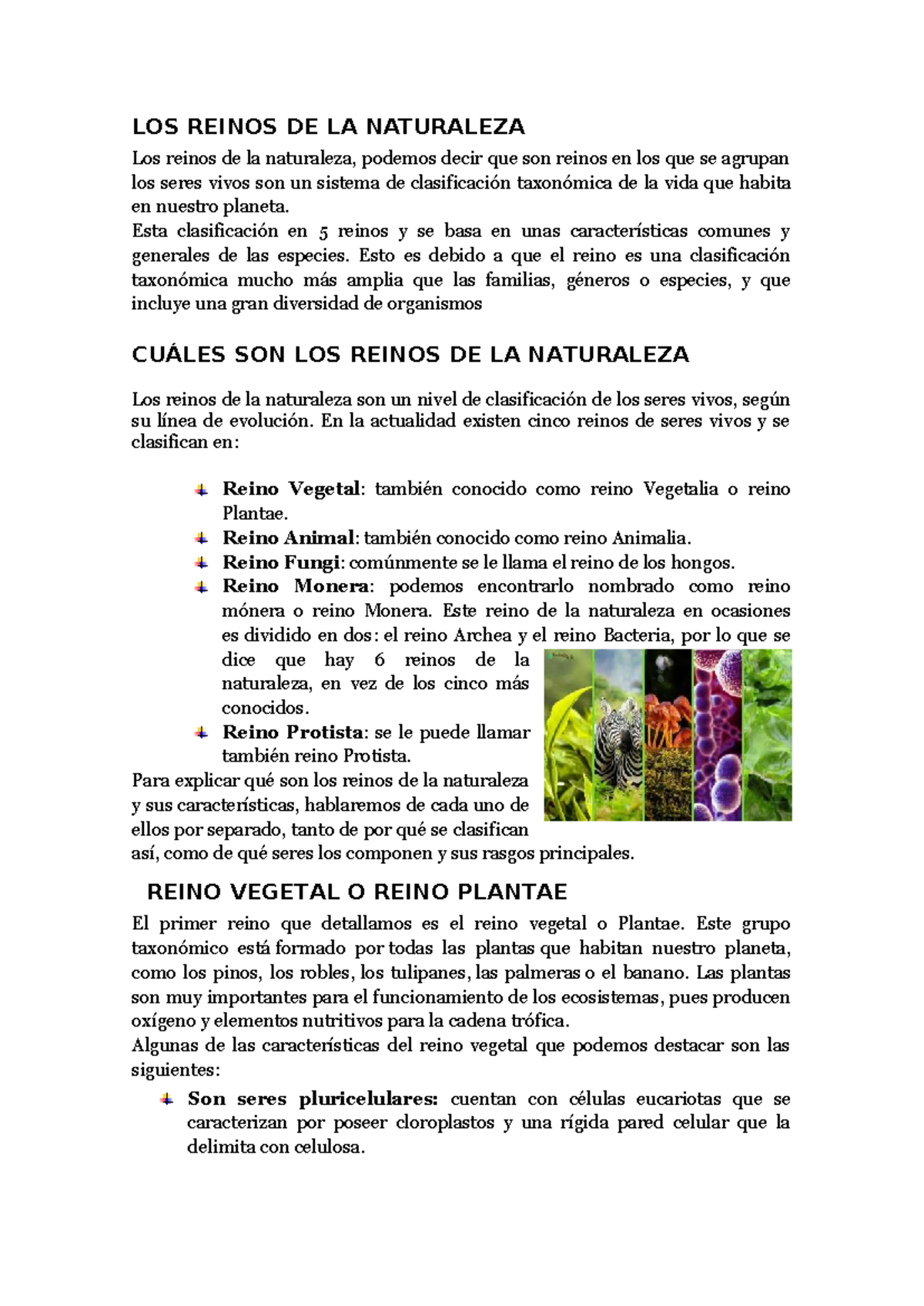 Biología 101: Los Reinos de la Naturaleza - Clasificación y Características  - Studocu