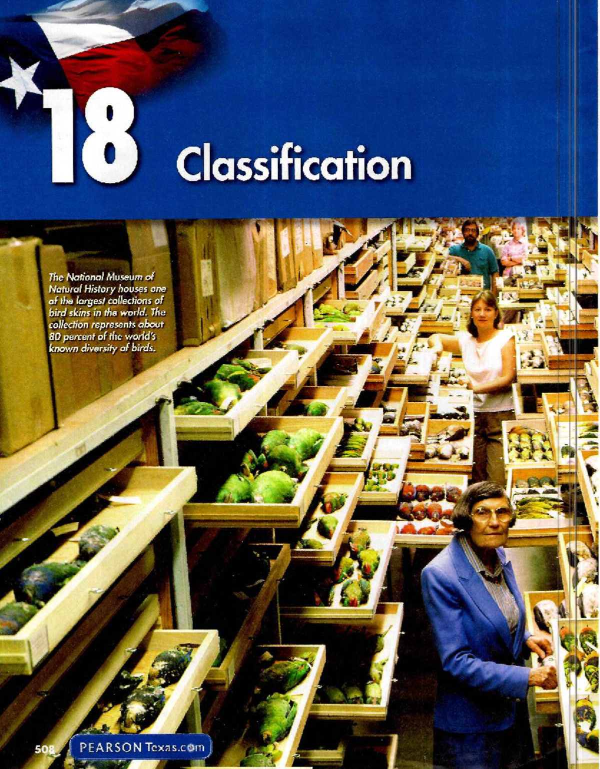 Ch 18: Classification - Understanding Taxonomy and Evolutionary ...