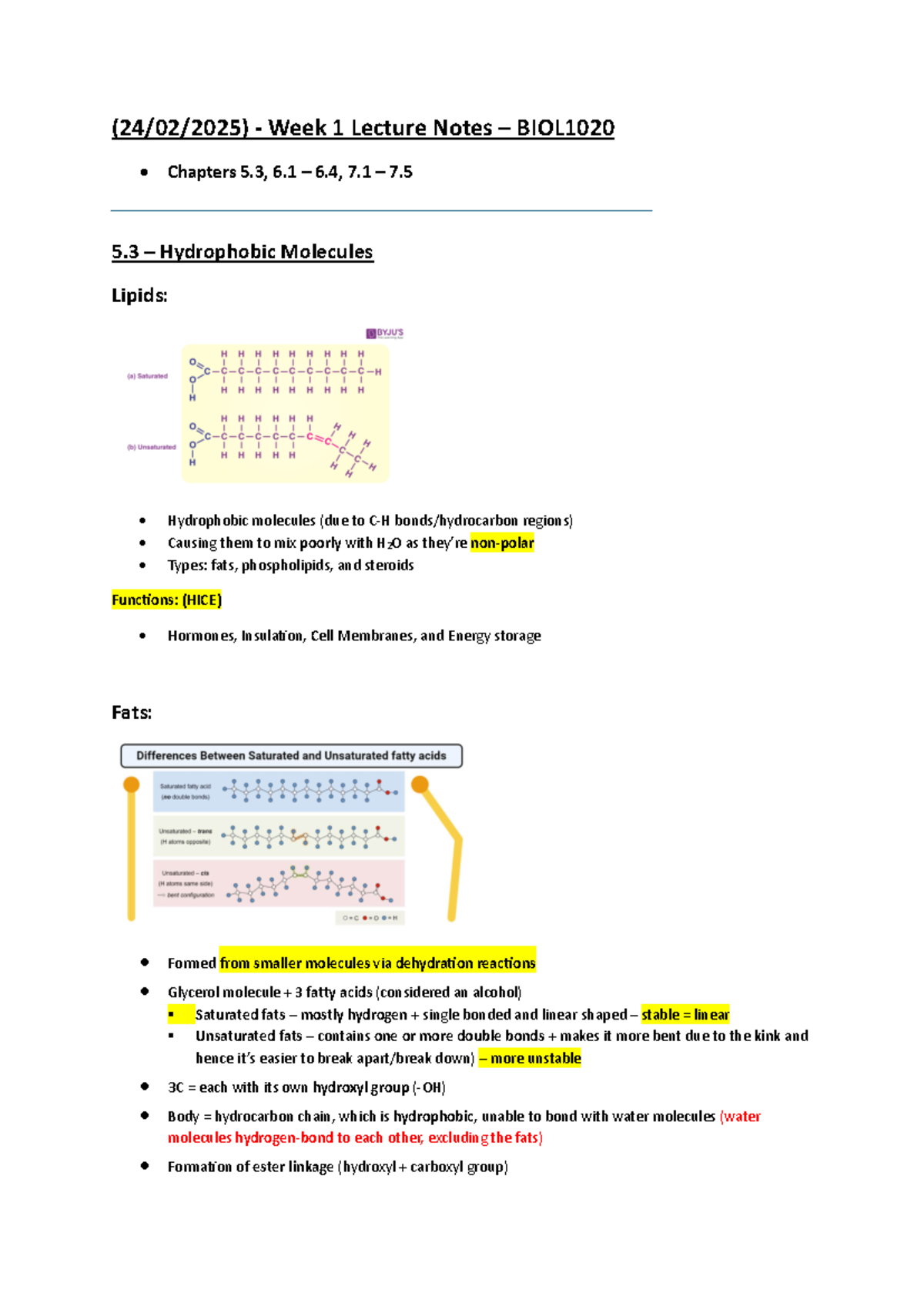 BIOL1020 - Week 1 notes - (24/02/2025) - Week 1 Lecture Notes – BIOL ...