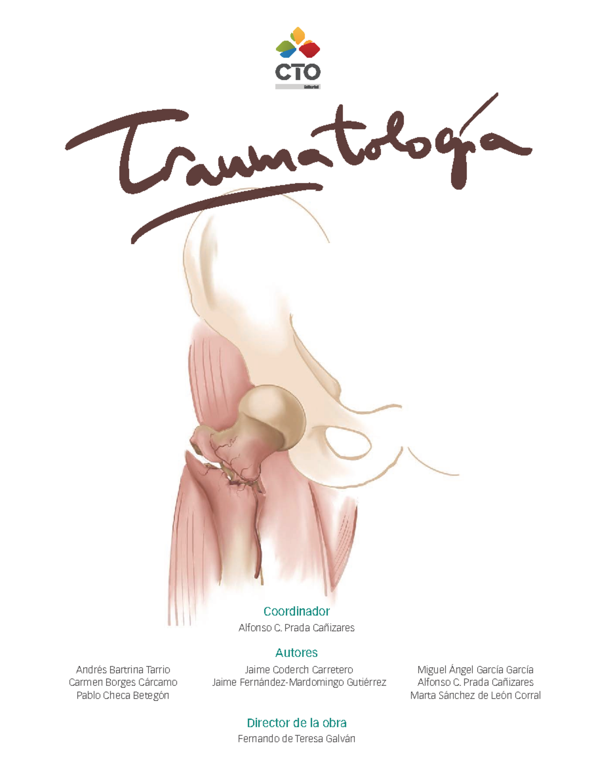 Manual CTO de Medicina y Cirugía, 14.ª edición - Traumatología - Document Preview
