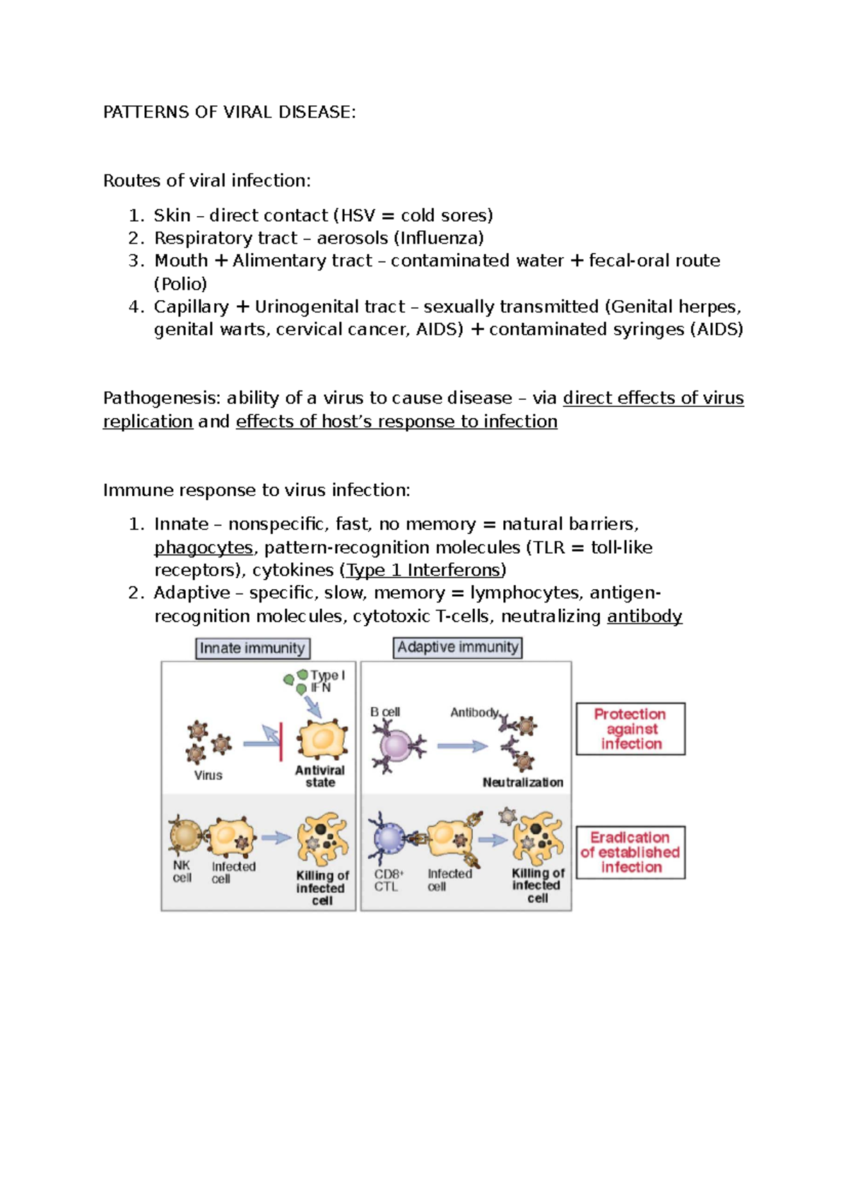 Microbiology - Patterns of Viral Disease: Infection Routes & Mechanisms ...