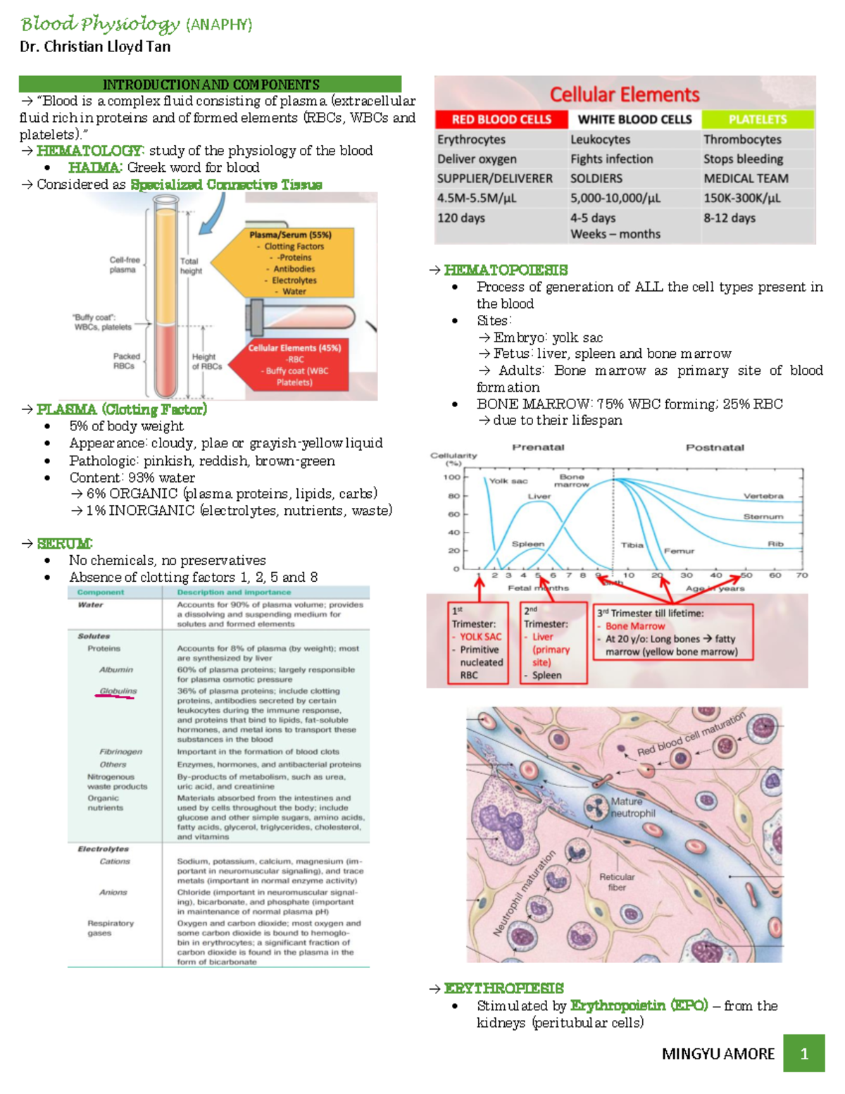 Blood Physiology: Hematology Overview and Key Components - Studocu