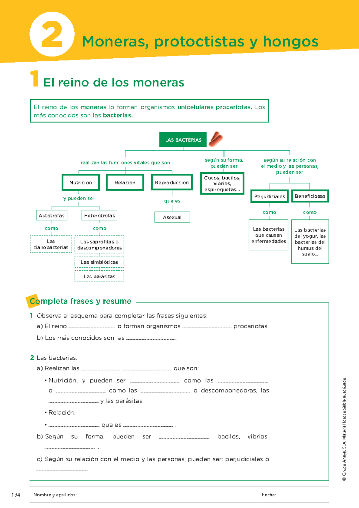 Ejercicios de moneras protoctistas y hongos (99) foto