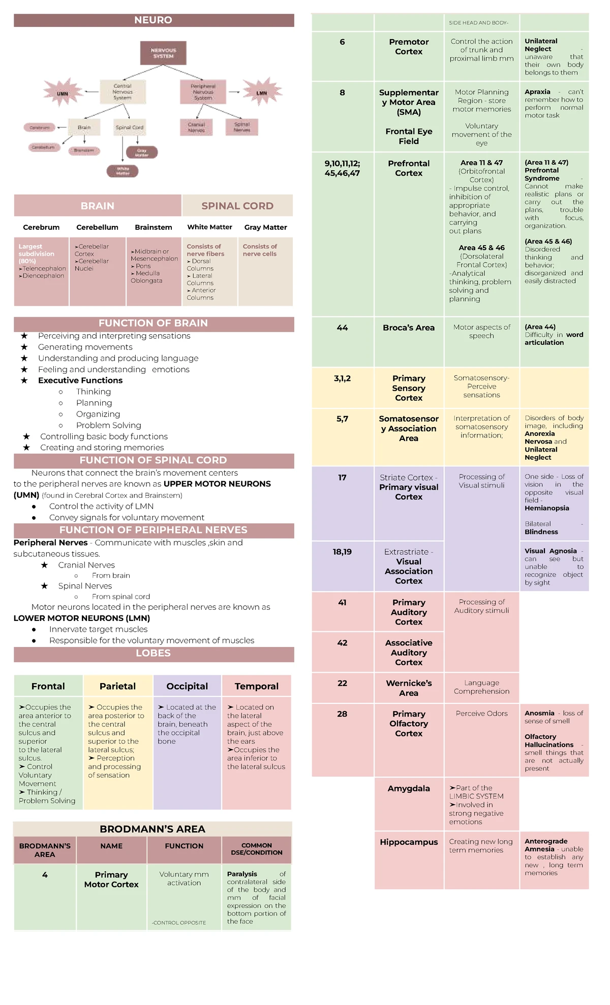 Cranial Nerve Testing Notes: Assessment Procedures and Functions - Studocu