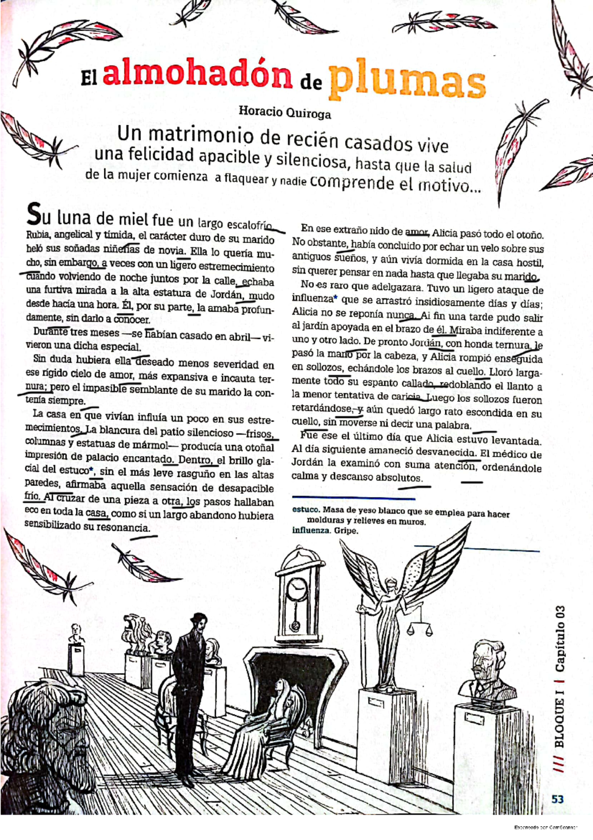Cuento Fantástico Horacio Quiroga Almohadon De Plumas Pdf Jordan El Cuento De El AlmohadÃ³n De Plumas Alicia Pdf El Almohadon De  Plumas Texto El Cuento El Almohadon De