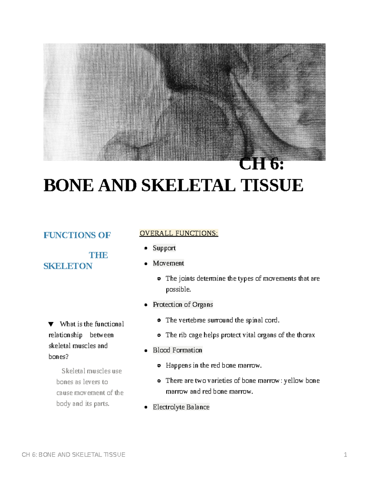 CH 6: Functions and Structure of Bone and Skeletal Tissue - Studocu