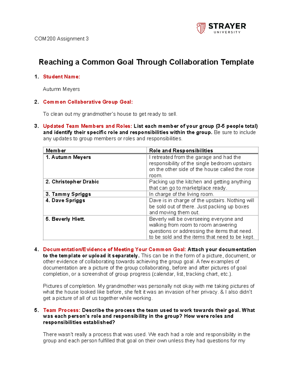 COM200 Assignment 3: Collaborative Insights on Grandmother's Home ...