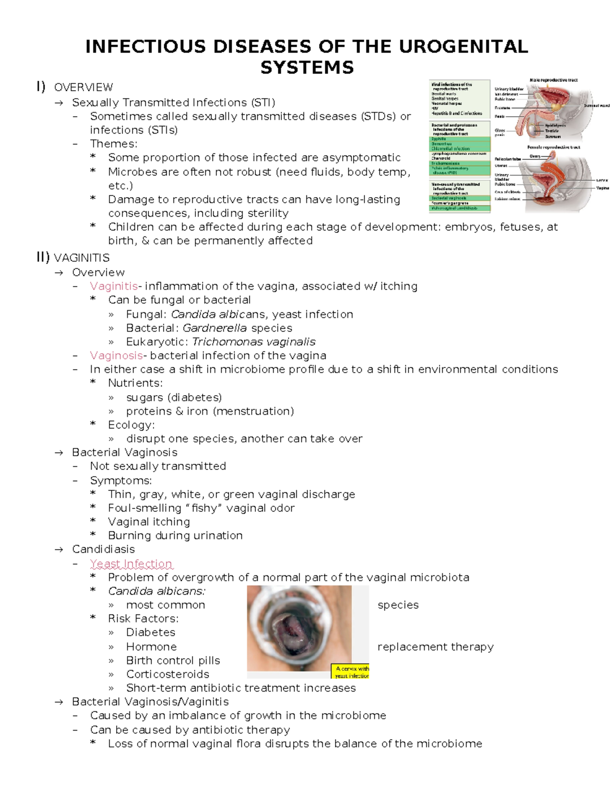 Urogenital System Infectious Diseases Overview and STIs Notes - Studocu