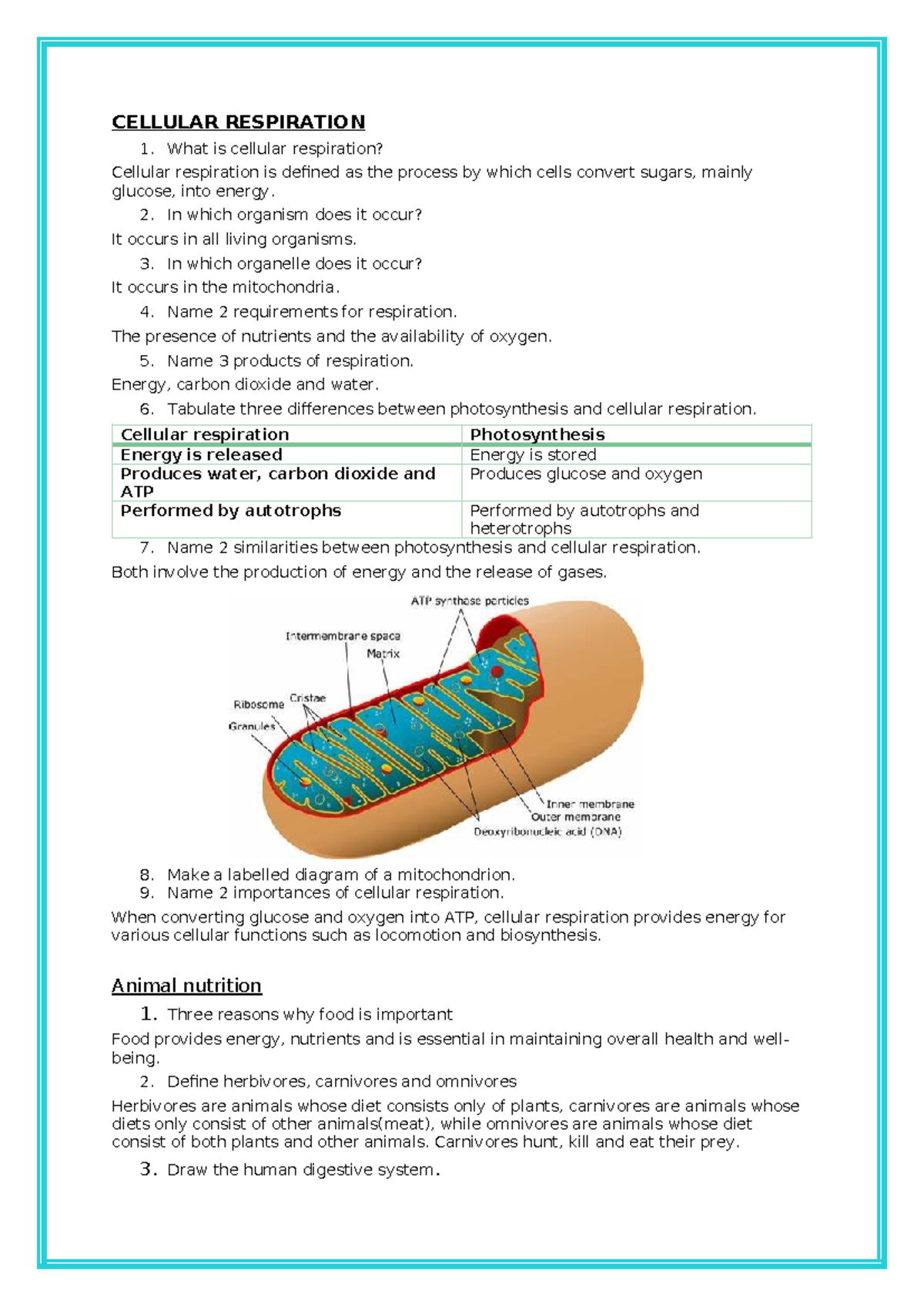 CELLULAR RESPIRATION: Key Concepts and Differences with Photosynthesis ...