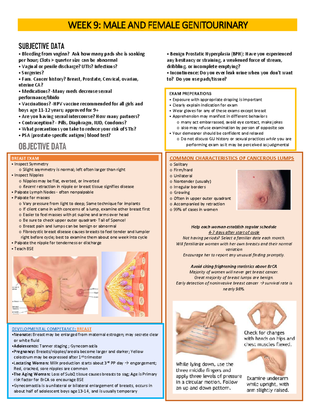 Male and Female GU - Power Point Notes - WEEK 9 : MALE AND FEMALE ...