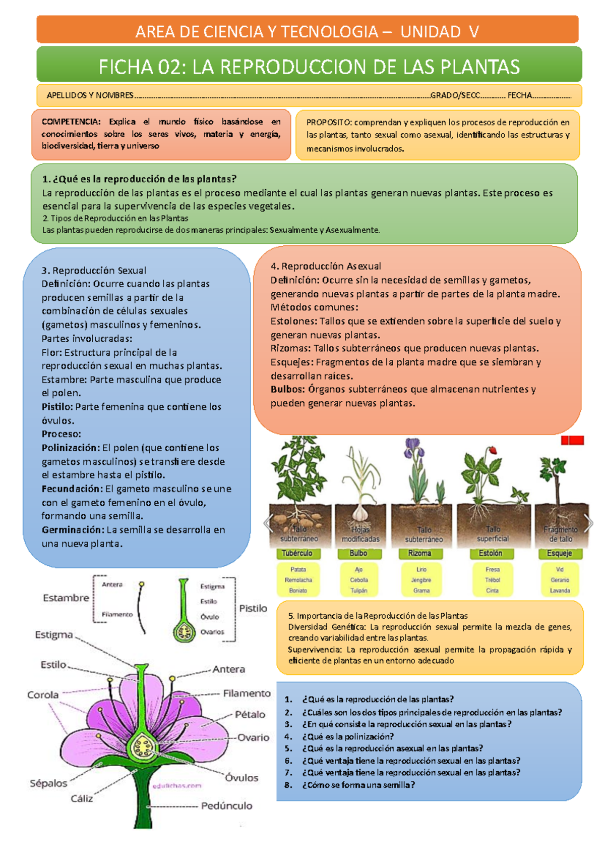 Ficha 02: Reproducción de las Plantas - Ciencia y Tecnología - Studocu