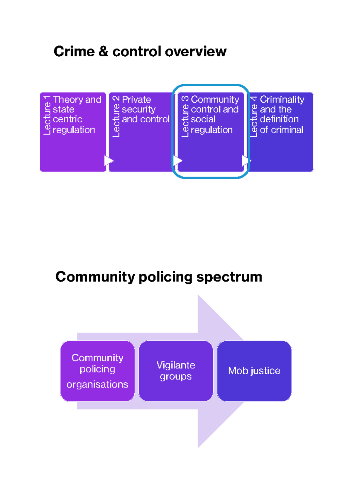 PBL2800 W5L3 print - lecture notes study notes - Crime & control ...