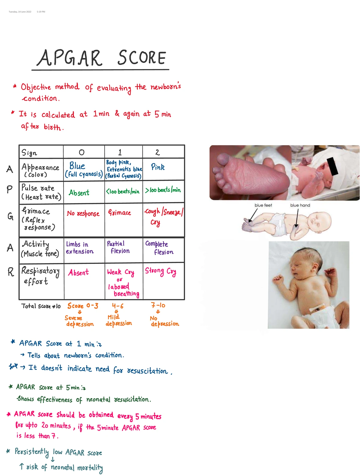 Cardiovascular Physiology: Cardiac Cycle Overview and Phases - Studocu
