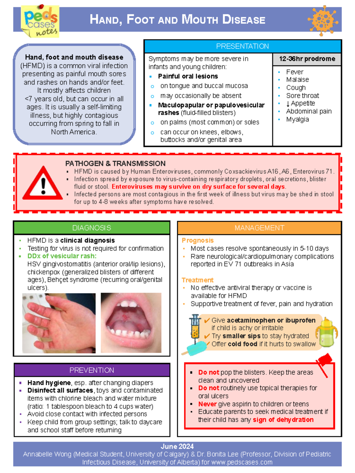 HFM 101: Hand, Foot, and Mouth Disease Overview and Management - Studocu