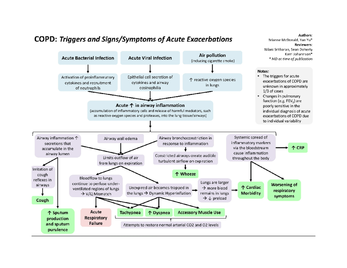 COPD 101: Understanding Acute Exacerbation Triggers and Mechanisms ...