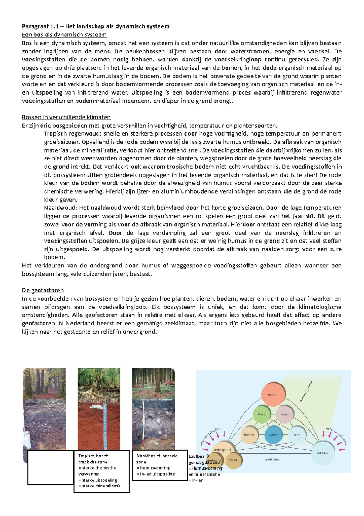 Aardrijkskunde SE 1 - Landschapszones en Geofactoren in Ecosystemen ...