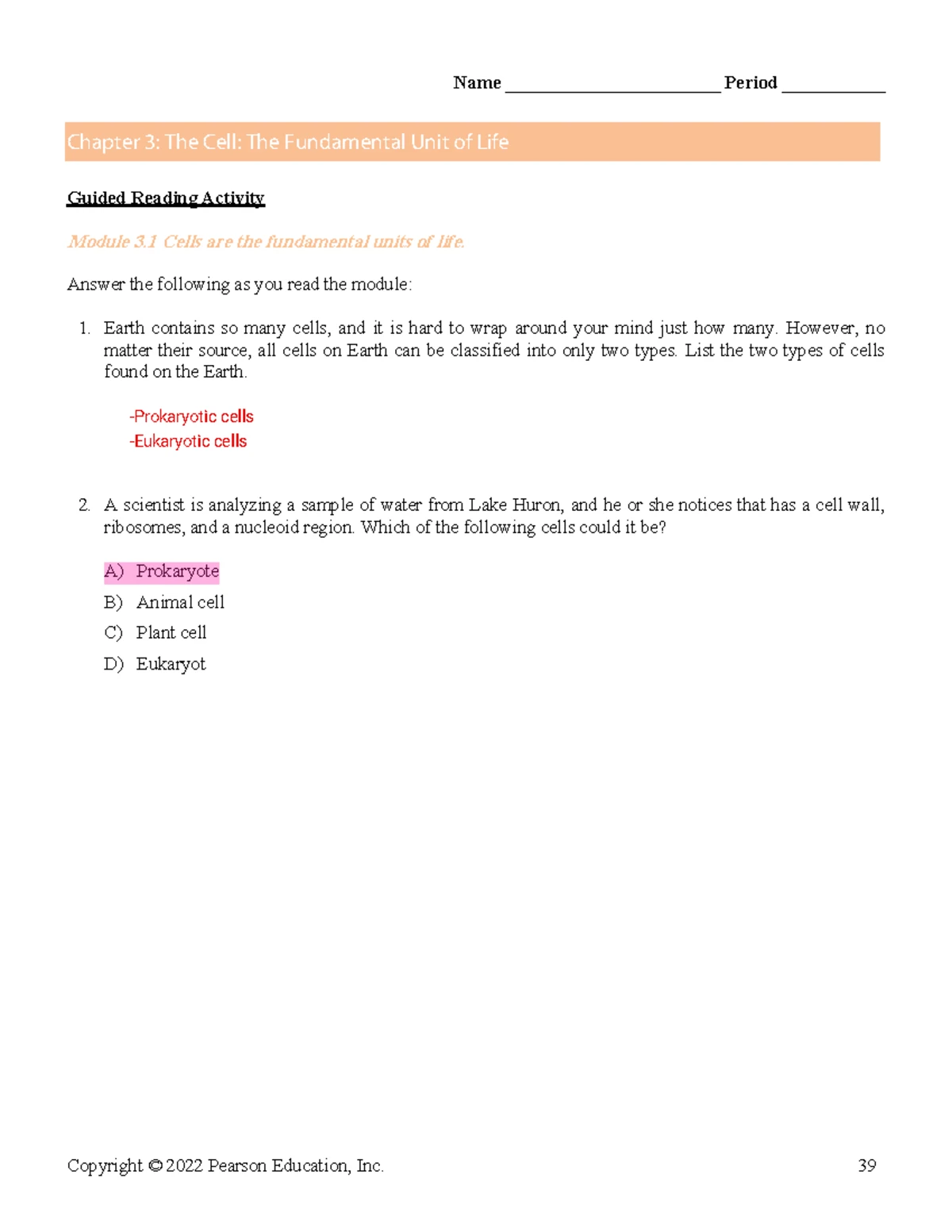 Ch 5 Active Reading Guide - Name _______________________ Period ...