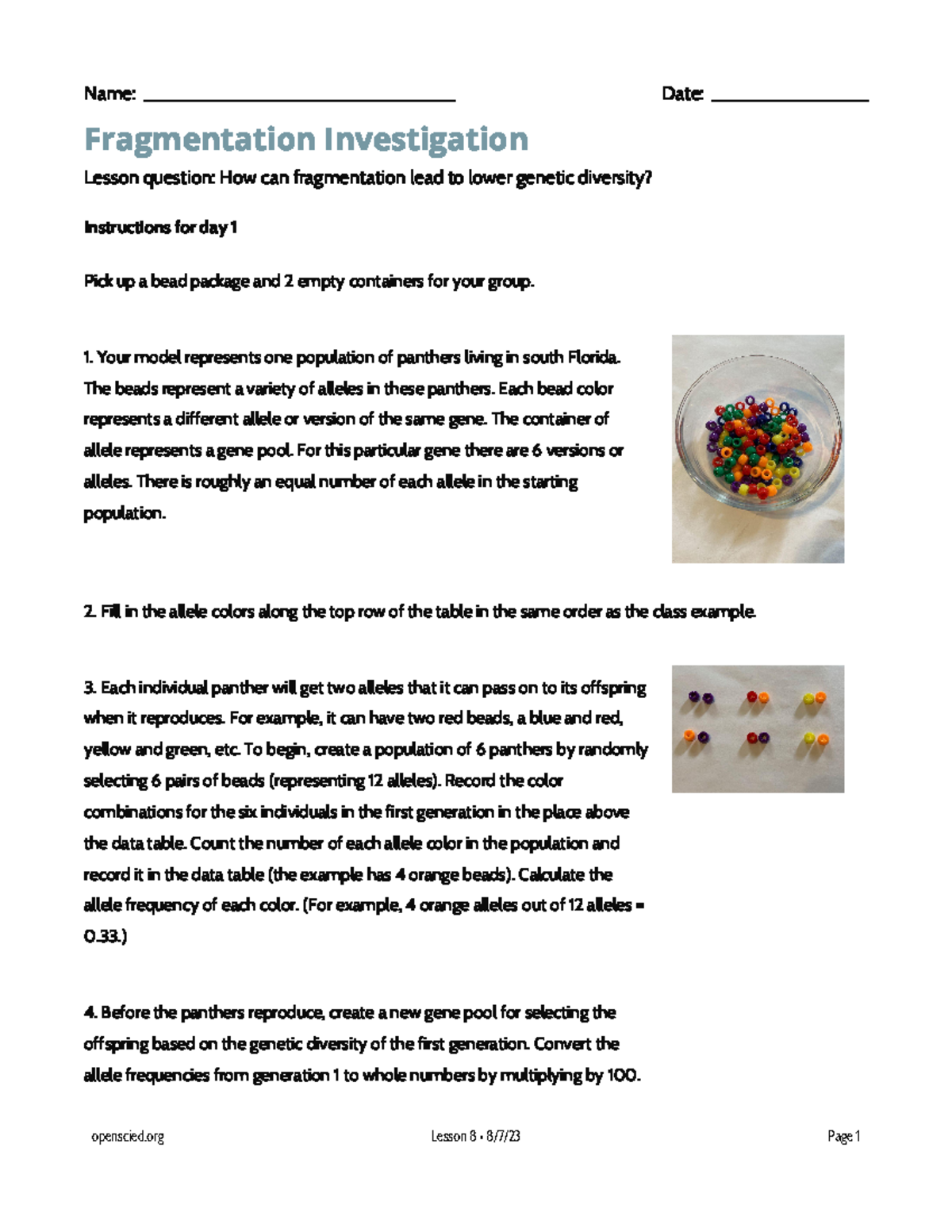 Lesson 8 Handout Fragmentation Investigation - Name
