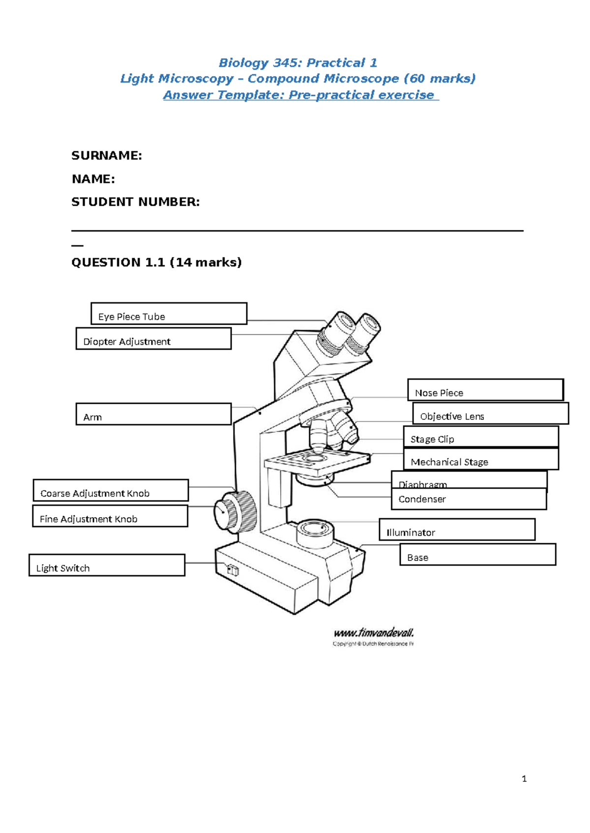 Biology 345: Practical 1 - Light Microscopy Answer Template - Studocu