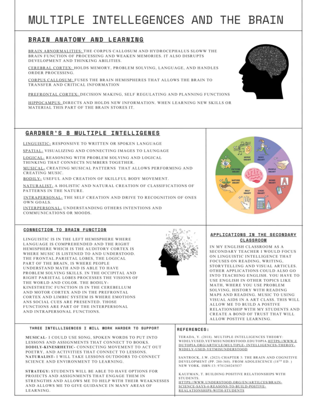 MULTIPLE INTELLIGENCES AND BRAIN FUNCTION: A GRAPHIC ORGANIZER (EDU 101 ...