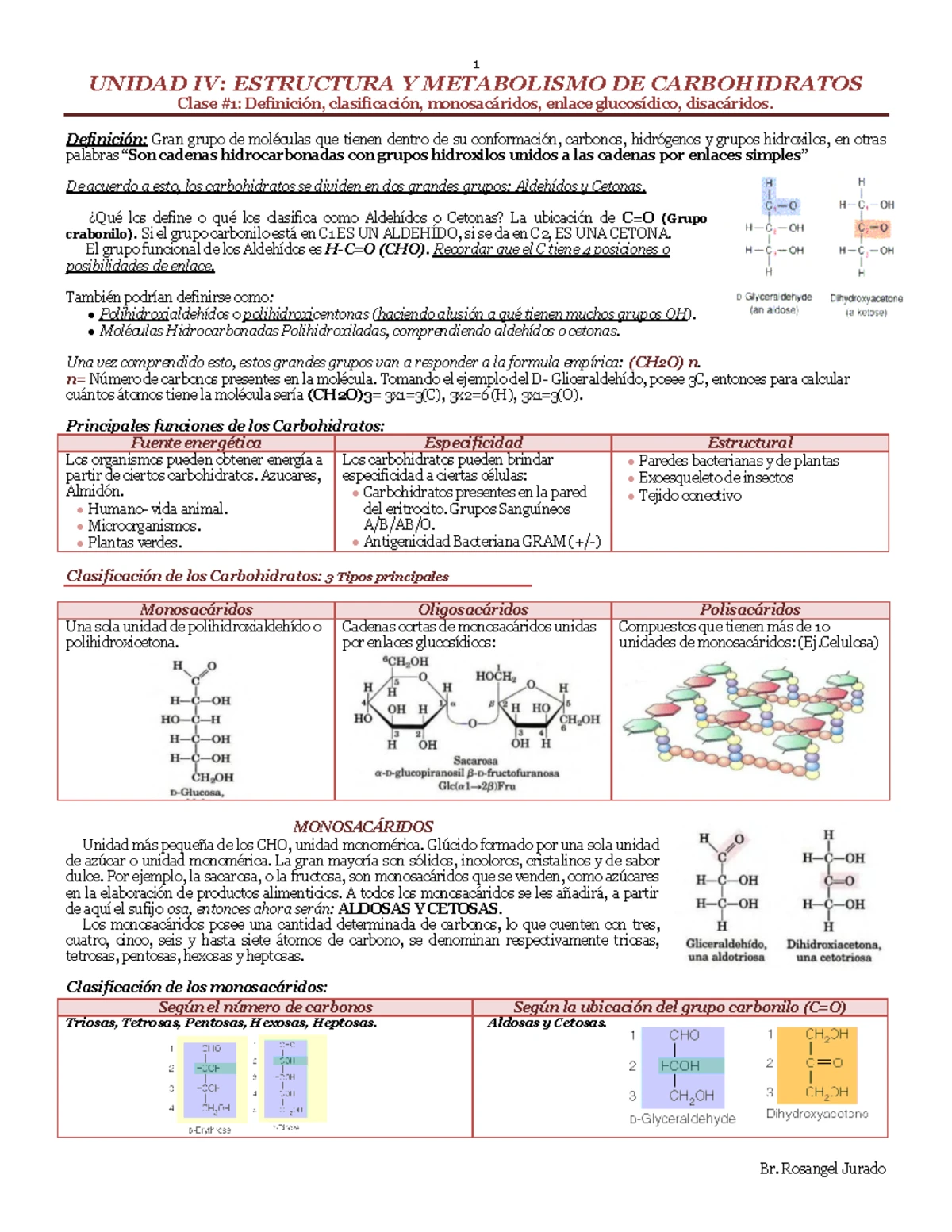 Formación de covalente ADN aductos carcinógenos activados enzimáticamente y  fármacos In Vitro y su determinación por 32P-postlabeling, image size:1200x1553