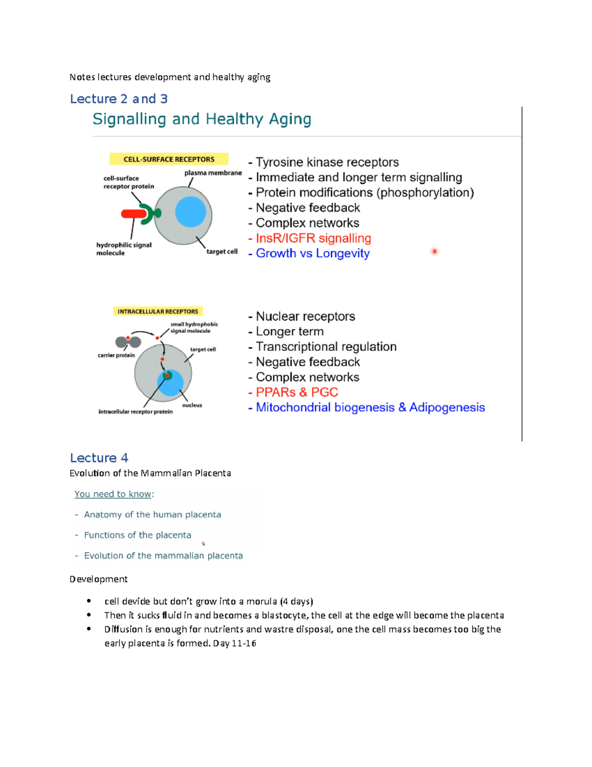 Lecture Notes on Development and Healthy Aging (BIO101) - Studeersnel