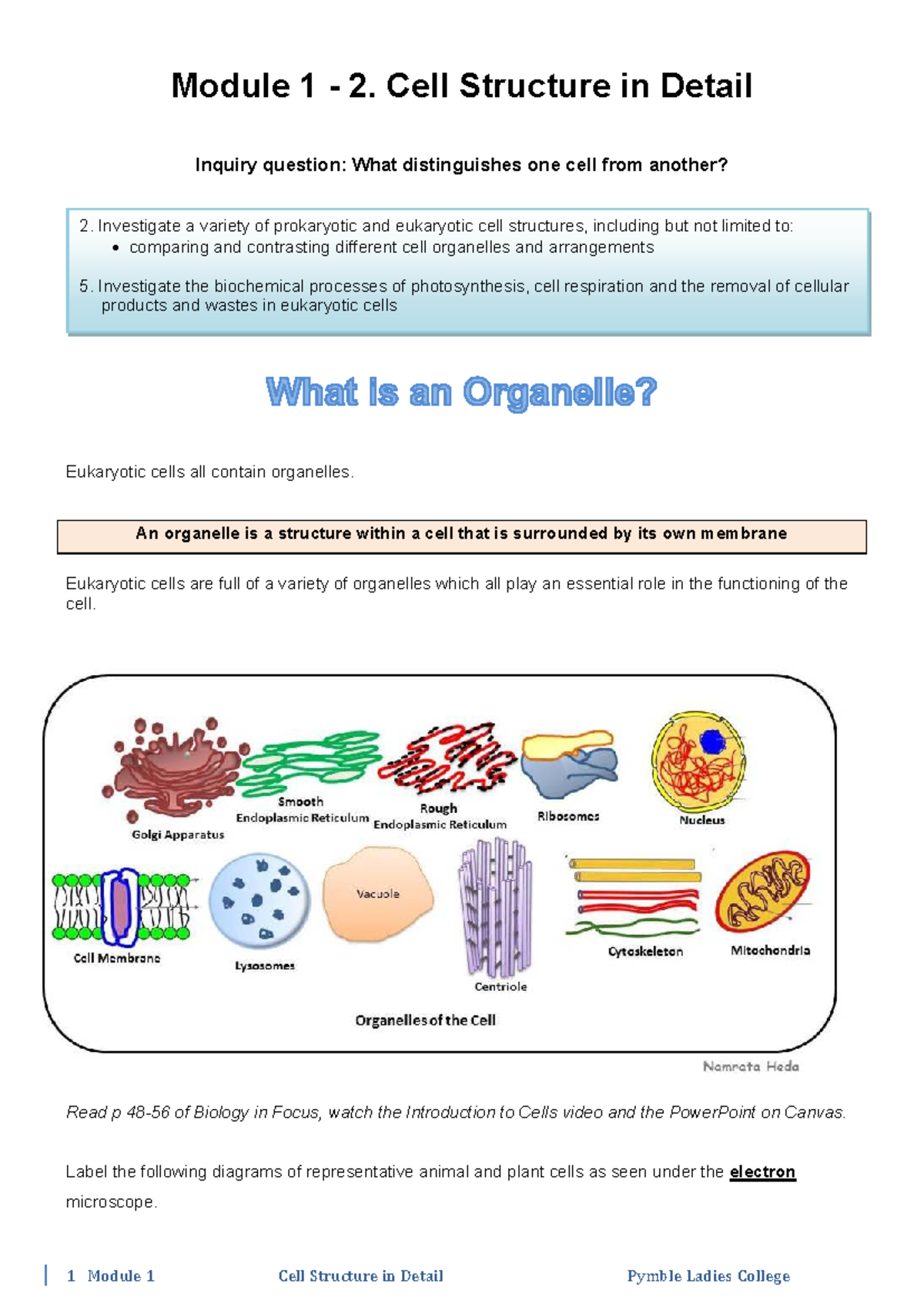 Module 1: Cell Structure in Detail - Studocu