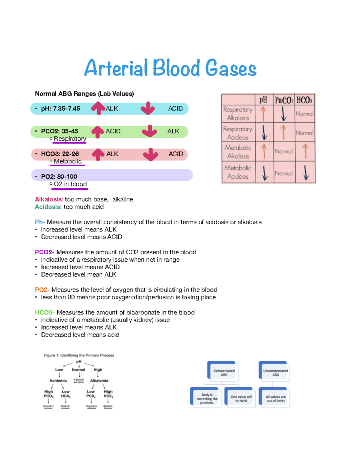 NUR 355 MED Surge module 6 Fluid + electrolytes - Arterial Blood Gases ...