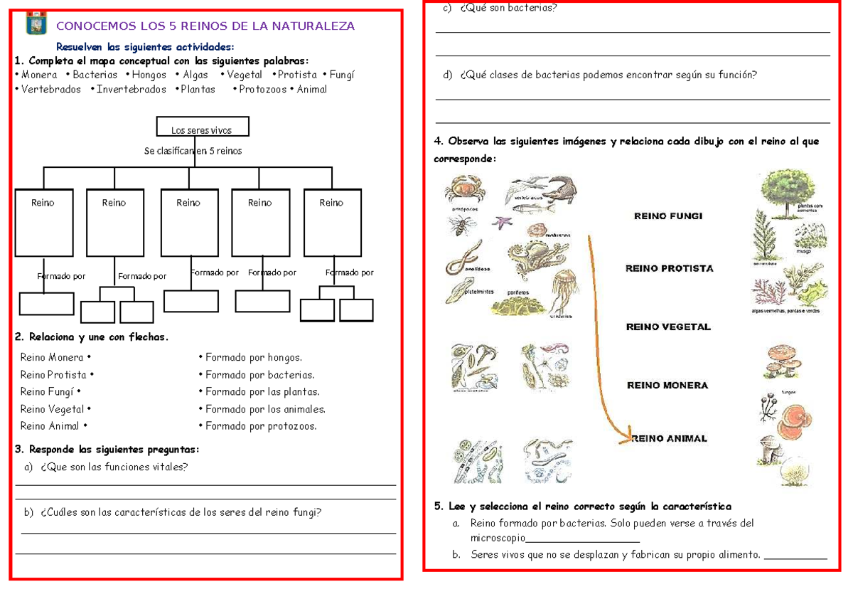 Ficha 1-Cy T UNID 2: Los 5 Reinos de la Naturaleza y Bacterias - Studocu
