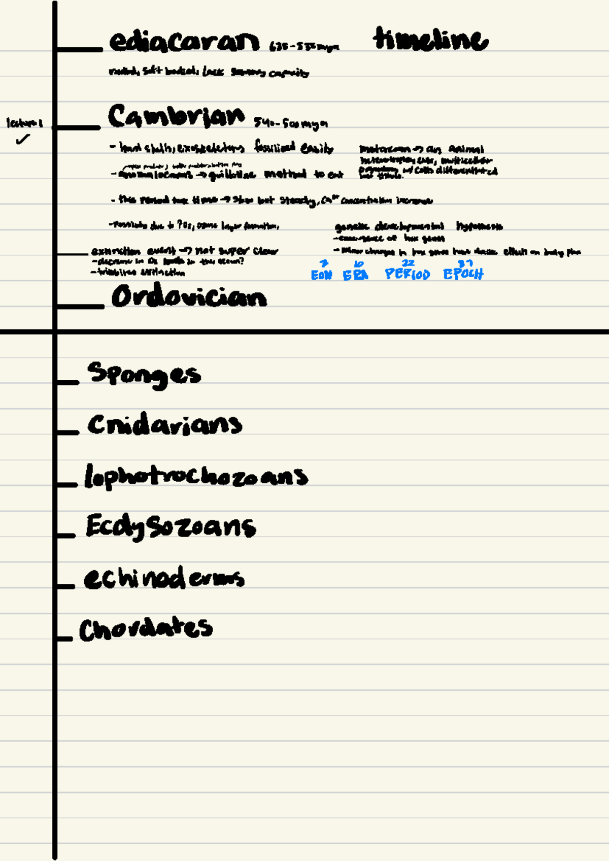 BIO 5B Lecture - Timeline for unit 3. - ediacaran eas-sysmya timeline ...