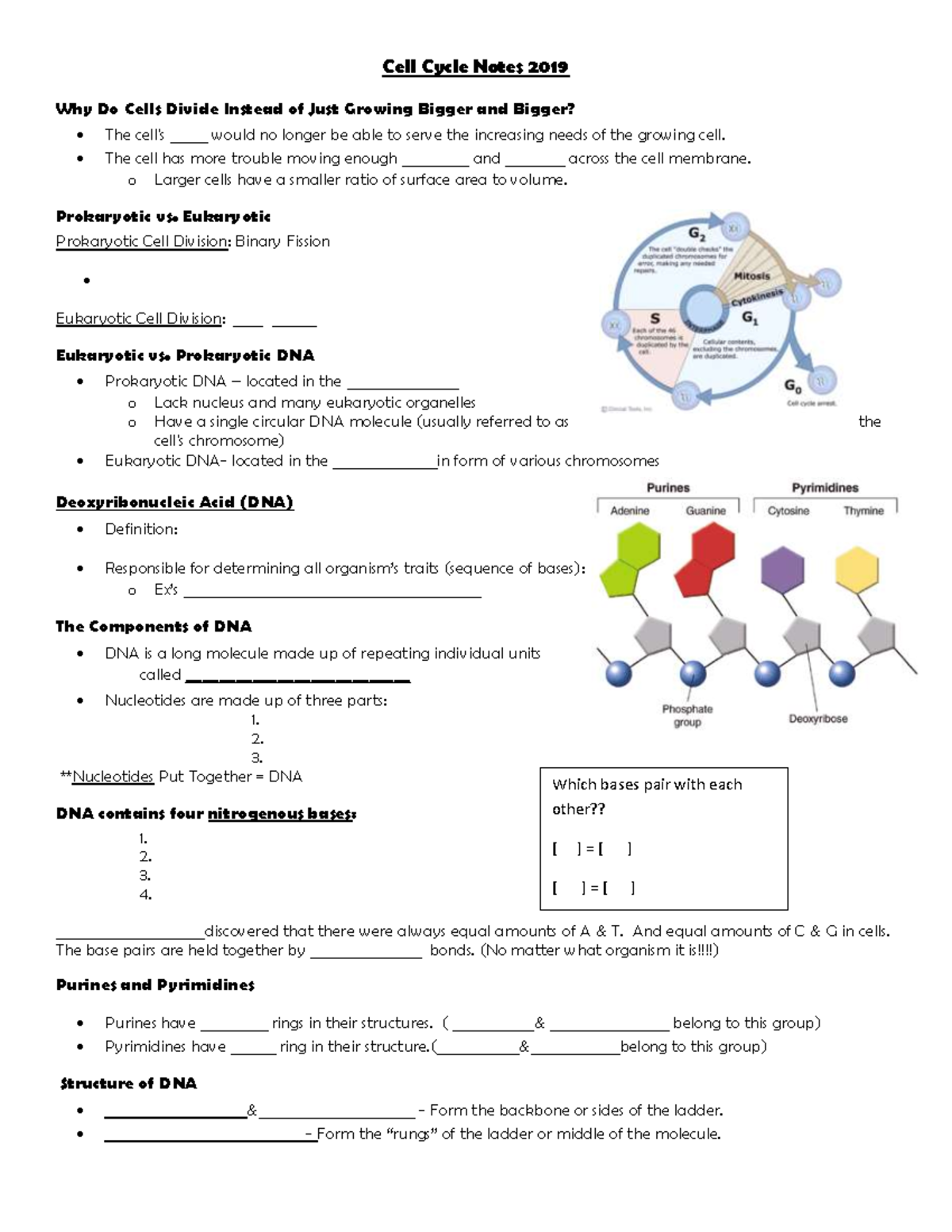 Cell Cycle Notes 2019: Understanding Cell Division and Growth - Studocu