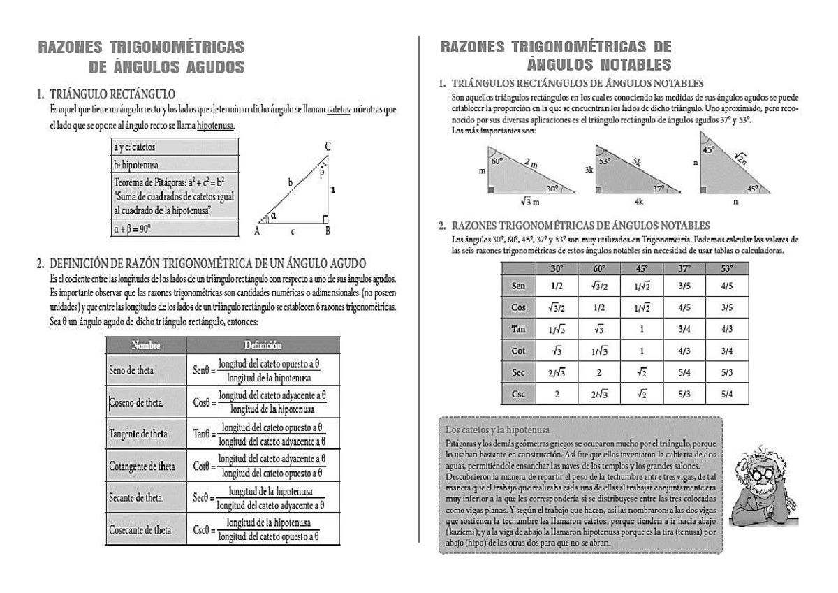 Razones Trigonométricas de Ángulos Agudos - TEMA-RAZ - Document Preview