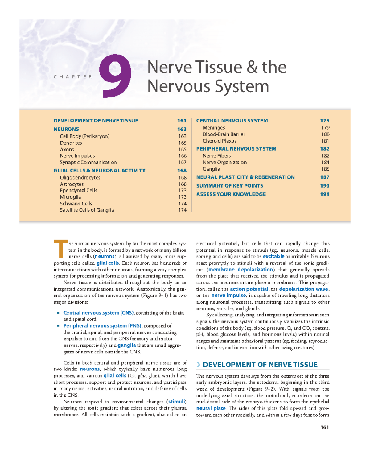 Chapter 9: Nerve Tissue and the Nervous System (Histology) - Studocu
