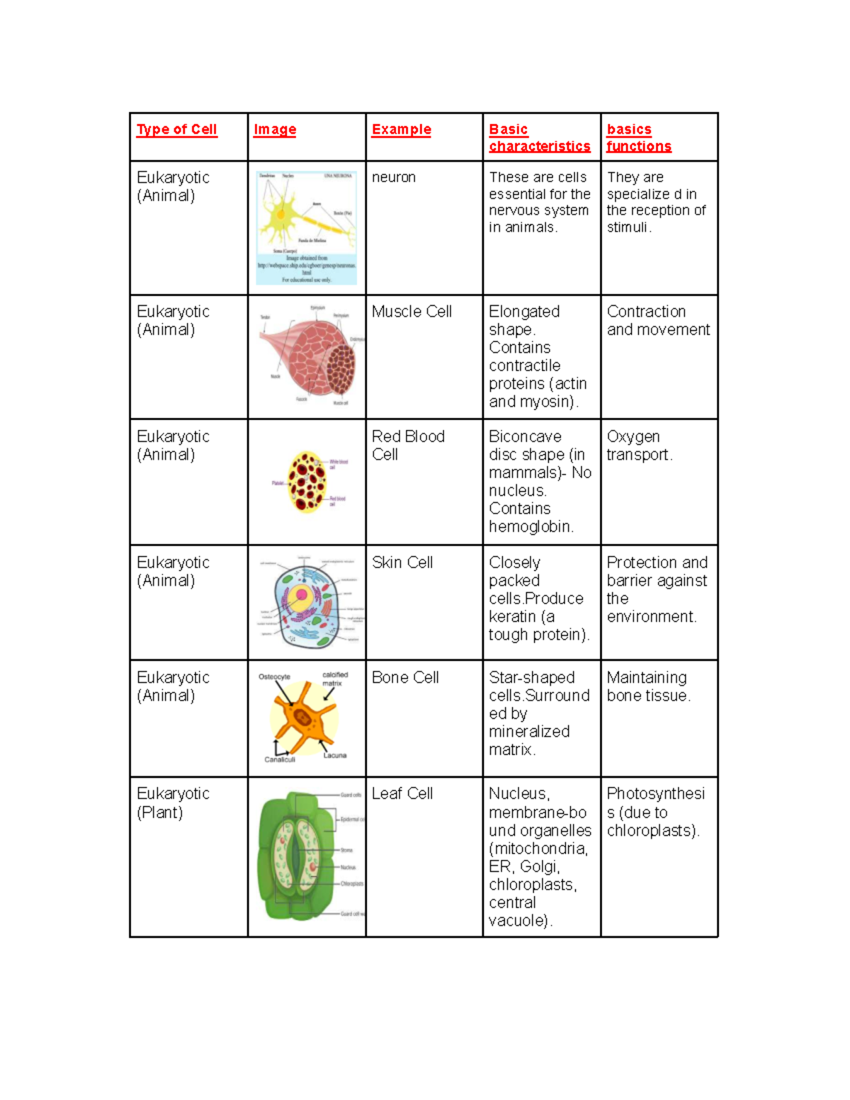 Life Science - Types of Eukaryotic and Prokaryotic Cells Overview - Studocu