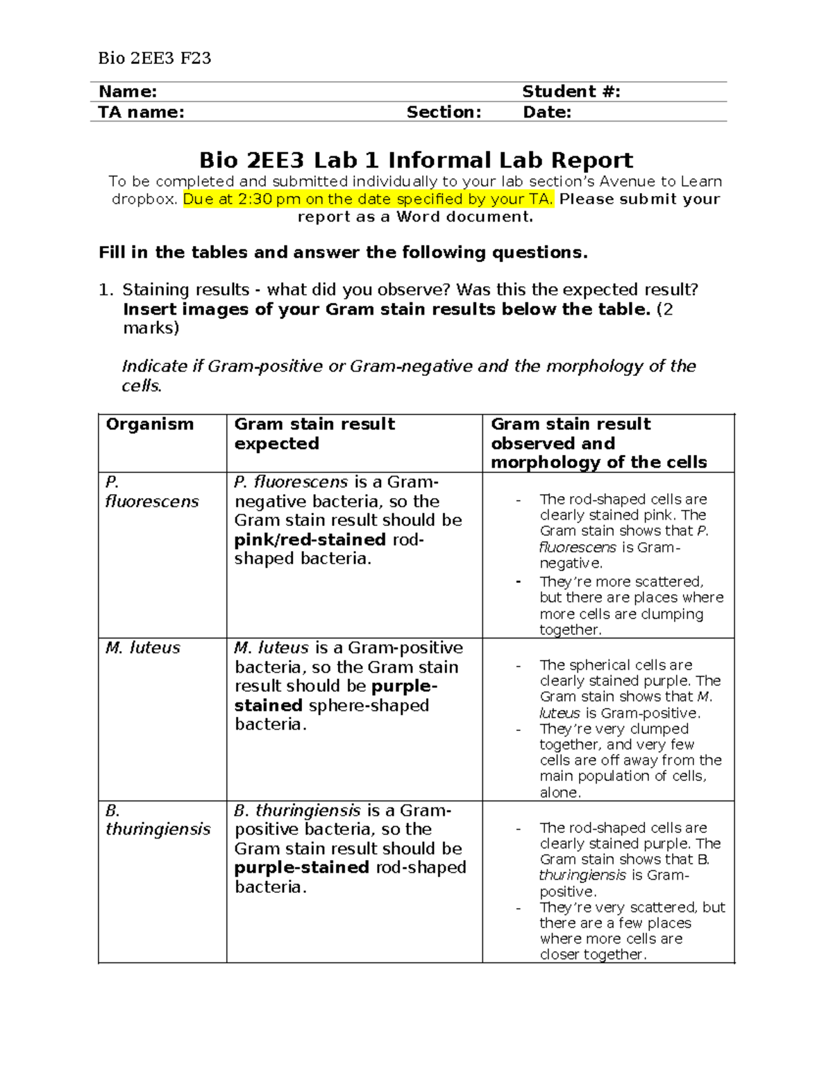 F23 Bio 2EE3 Lab 1 Informal Report Analysis and Observations - Studocu