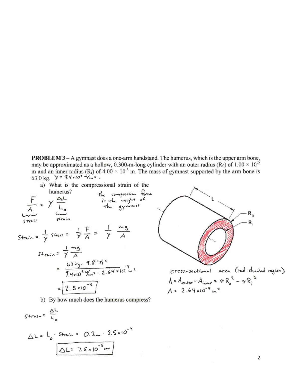 Physics 141 Recitation Worksheet: Fluids Solutions - Studocu