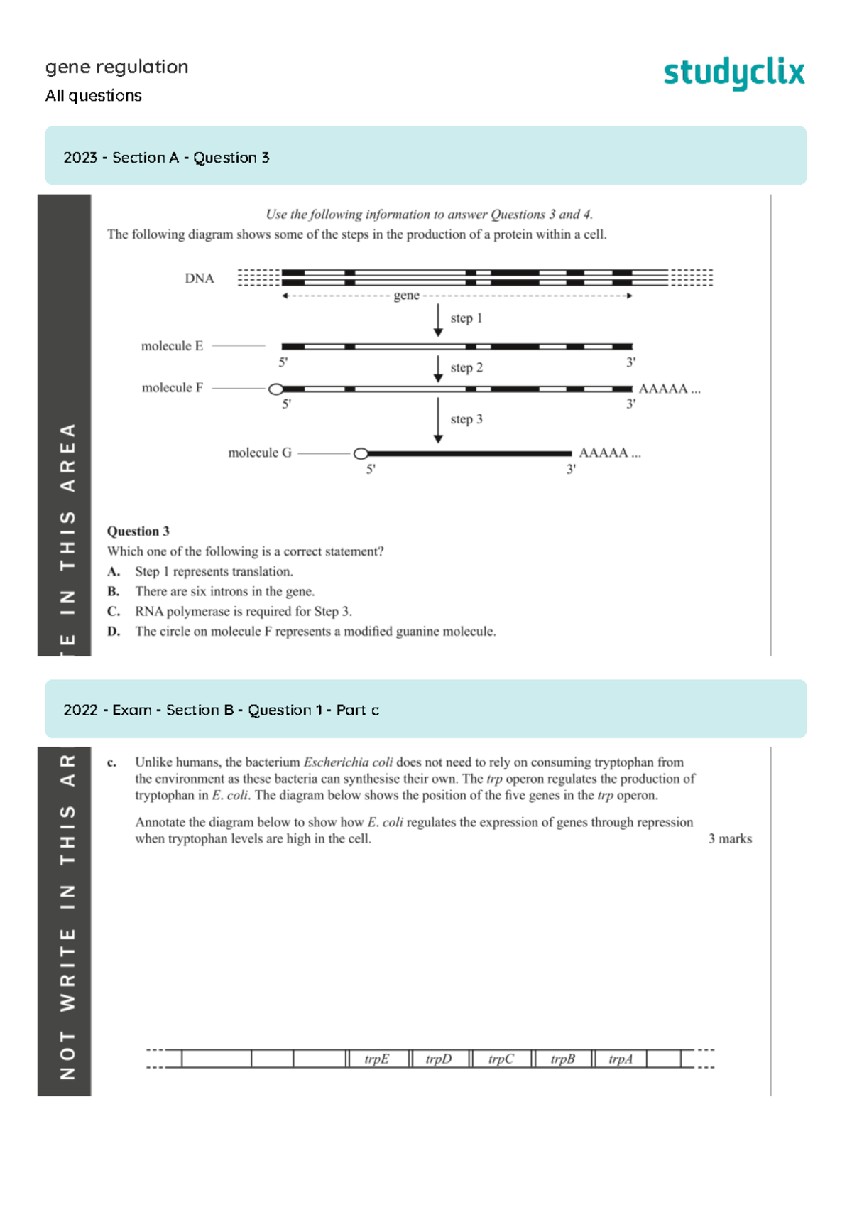 Gene Regulation Exam Questions and Answers Compilation - Studocu