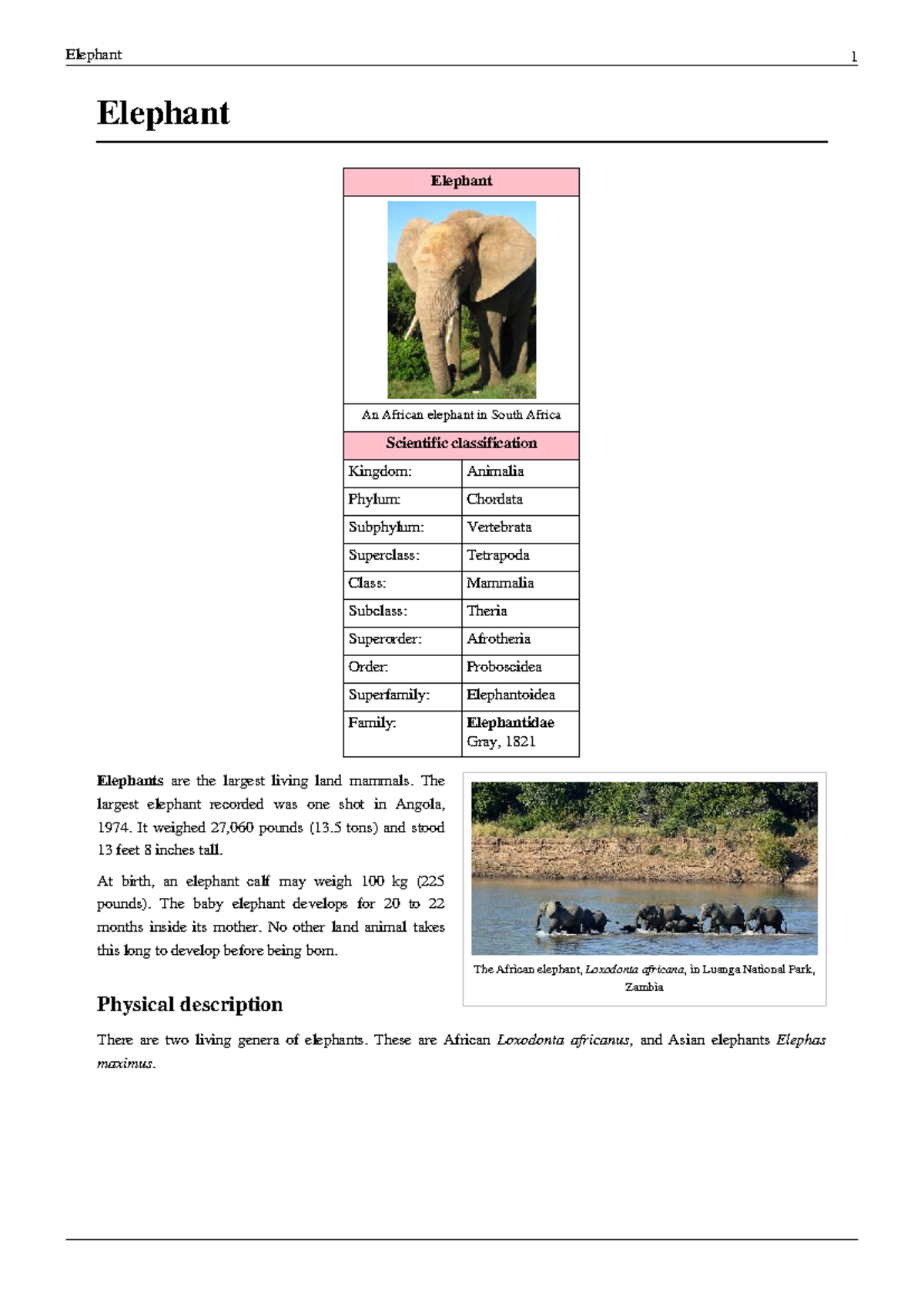 Elephant Study: Classification, Anatomy, and Human Interaction - Studocu
