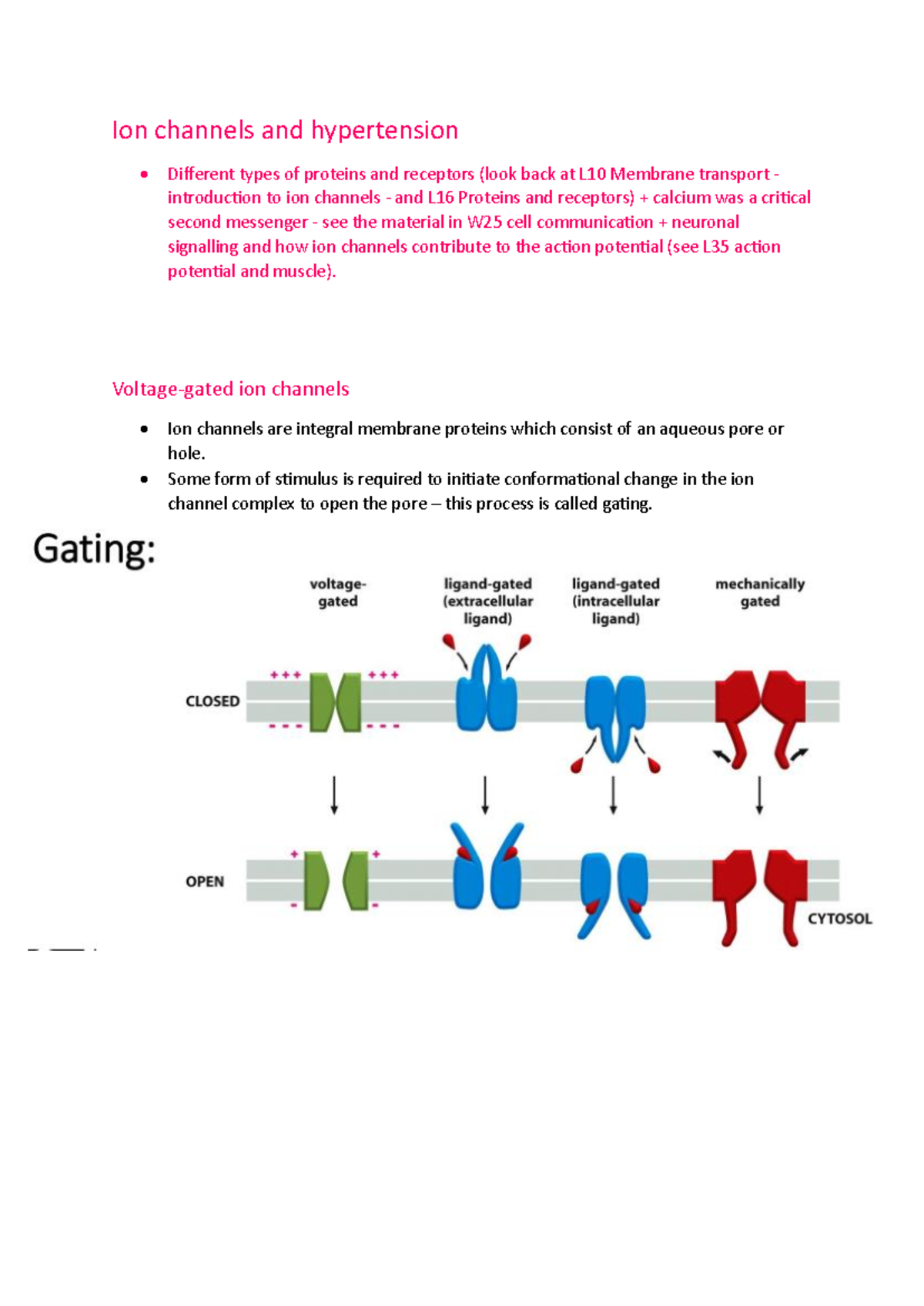 Ion Channels and Hypertension: A Detailed Overview of Mechanisms and ...