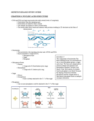 Lab report genetics - Lab #5: Determining the Unknown Genotype of D ...