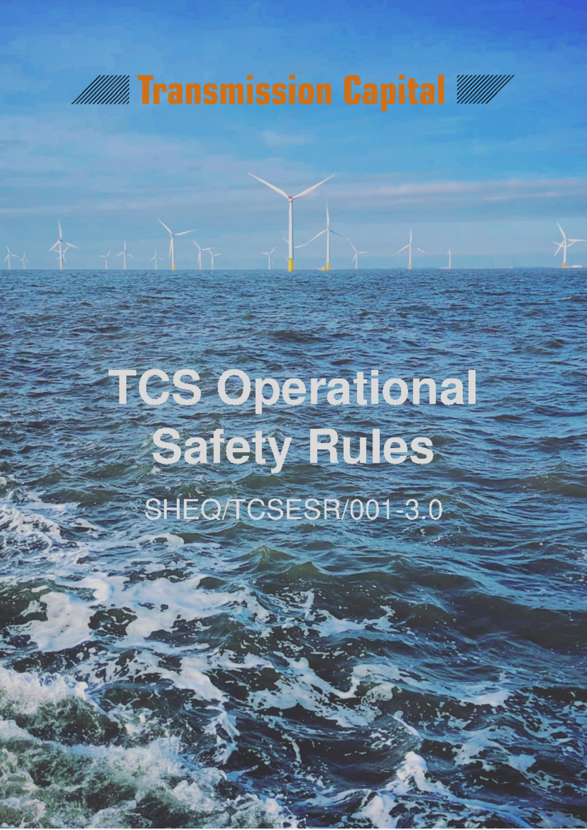 TCS Operational Safety Rules Review Document - Version 3.0 - Studocu