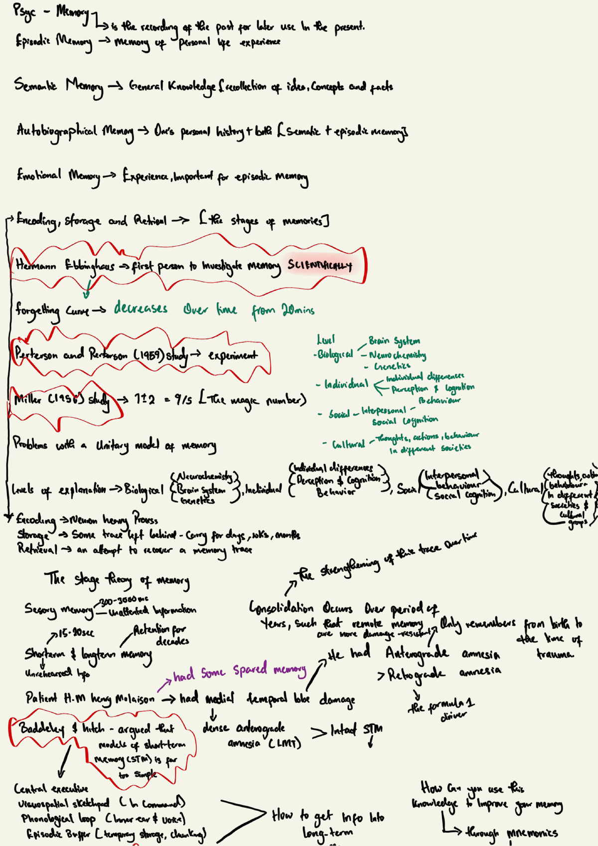 Psyc111 Lecture Notes: Understanding Vision Disorders & Brain ...