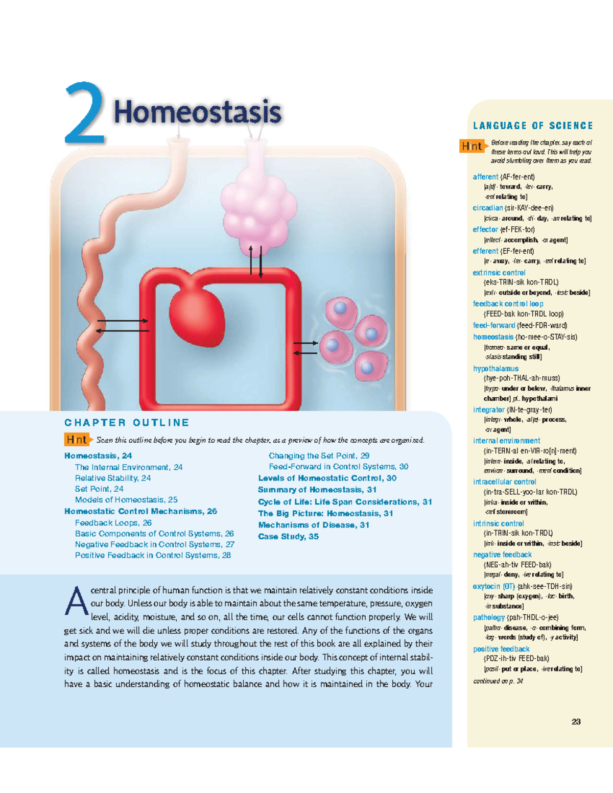 Chapter 2: Homeostasis - Understanding Internal Stability (BIO101 ...