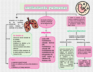 Capas Germinales: Ectodermo, Mesodermo y Endodermo en Desarrollo ...