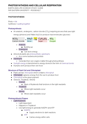 Grade 11 Life Sciences Photosynthesis Support Document Solutions ...