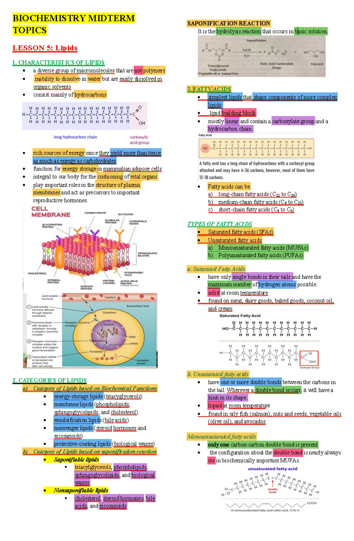 Biochemistry Midterm Exam Topics: Focus on Carbohydrates - Studocu