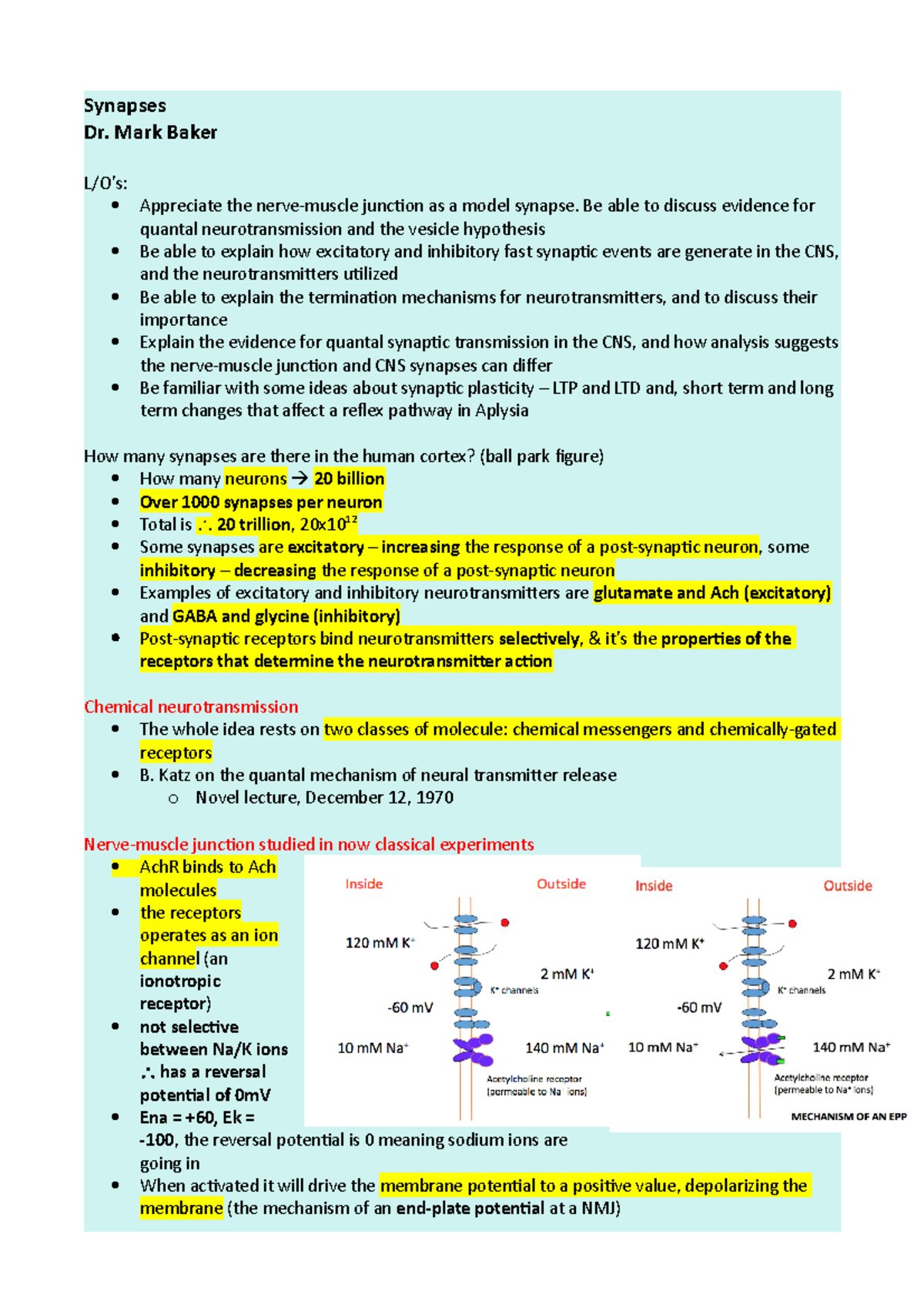 L6 Synapses - Lecture notes 6 - Synapses Dr. Mark Baker L/O’s ...
